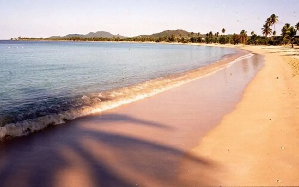 Trade Winds Restaurant & Guest House
