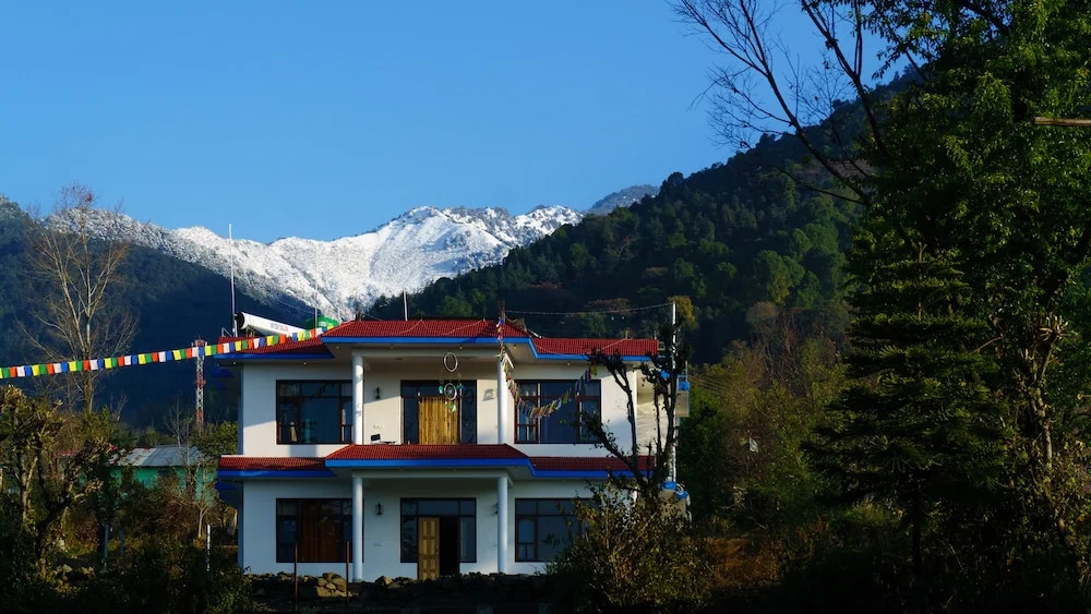 The Bunker Hostel - Dharamkot