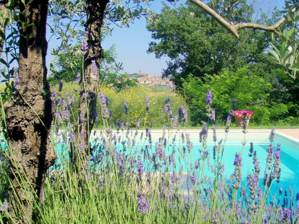 Cottage in Val di Chiana