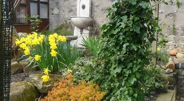 Rob Roy - Self Check-In Boutique Accommodation