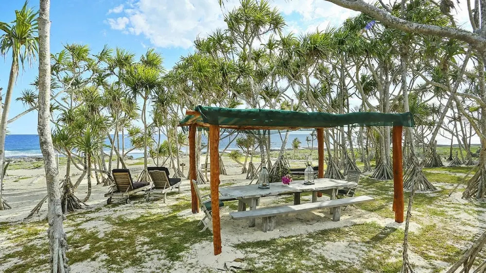 House of Palms