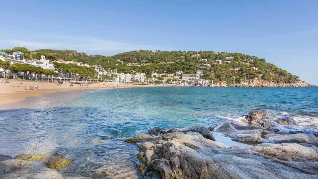 Pineda in Calella de Palafrugell
