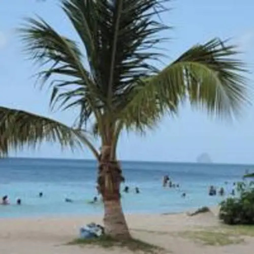 La créola