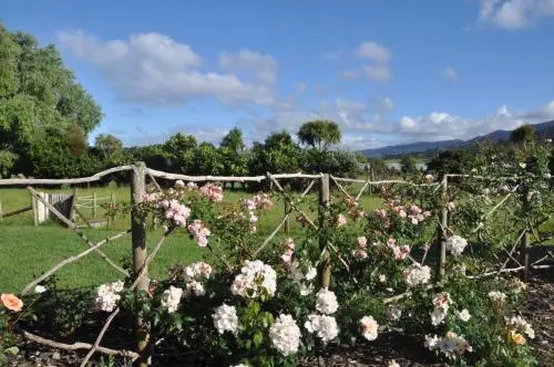 Jacaranda Lodge