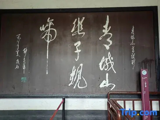 jianjusu（qingchenshaxinshanmendian）