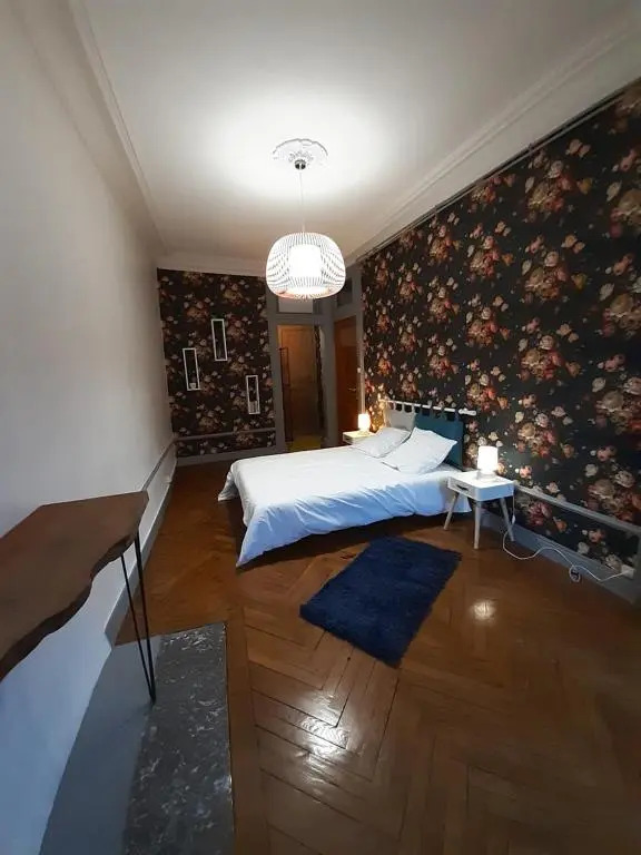 Tulle Centre : grand et bel appartement