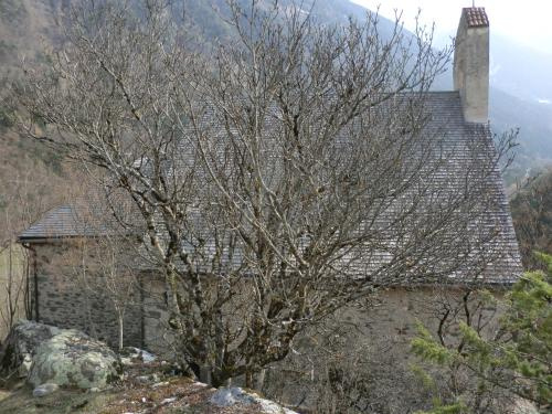 Pension Georgshof
