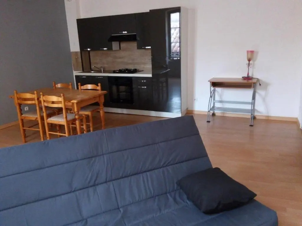appart entier de 49 m² au centre ville