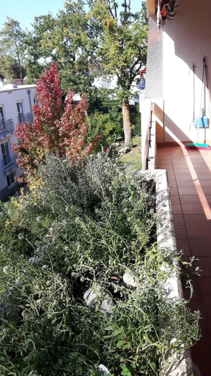 Appartement 124
