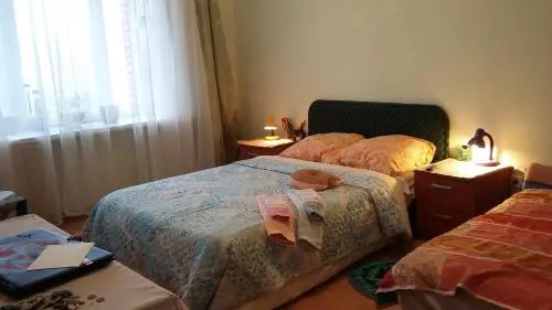 Guest House Na Chkalova 45A