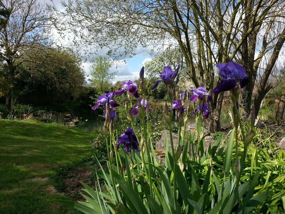 Upper Wood End Farm Holiday Cottages