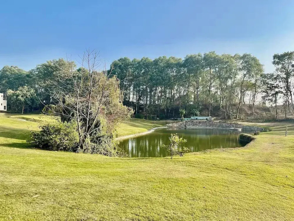 Monica's Golf Studio
