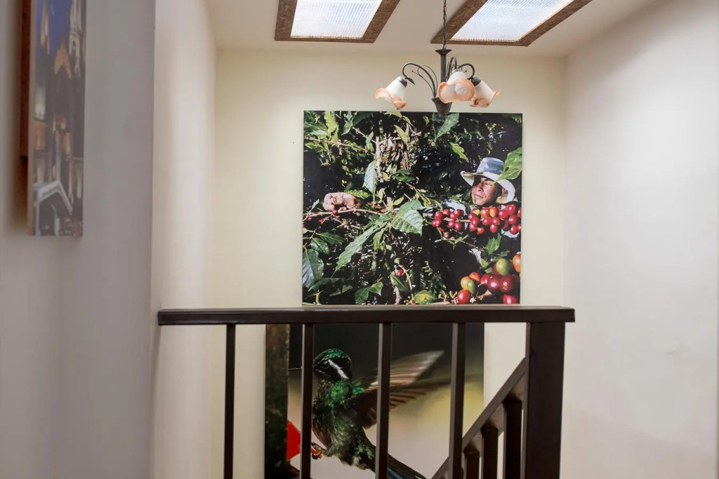 Hotel Boutique Studio