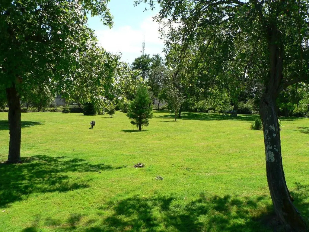Gîte de charme en Berry avec jardin privatif, idéal pour randonnées et observation des oiseaux - FR-1-591-184