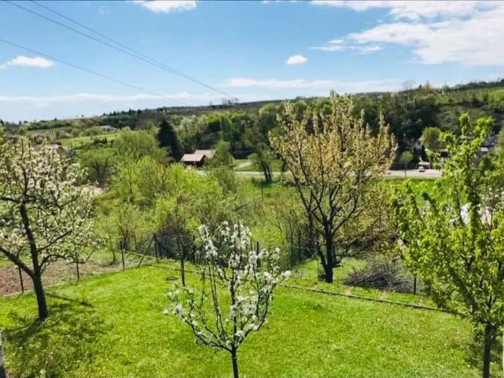 Apartman Szépasszonyvölgyi