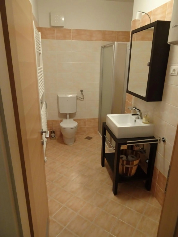 ALPIN apartma