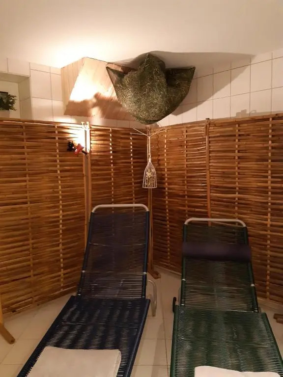 Erzgebirgshotel Misnia Bärenfels