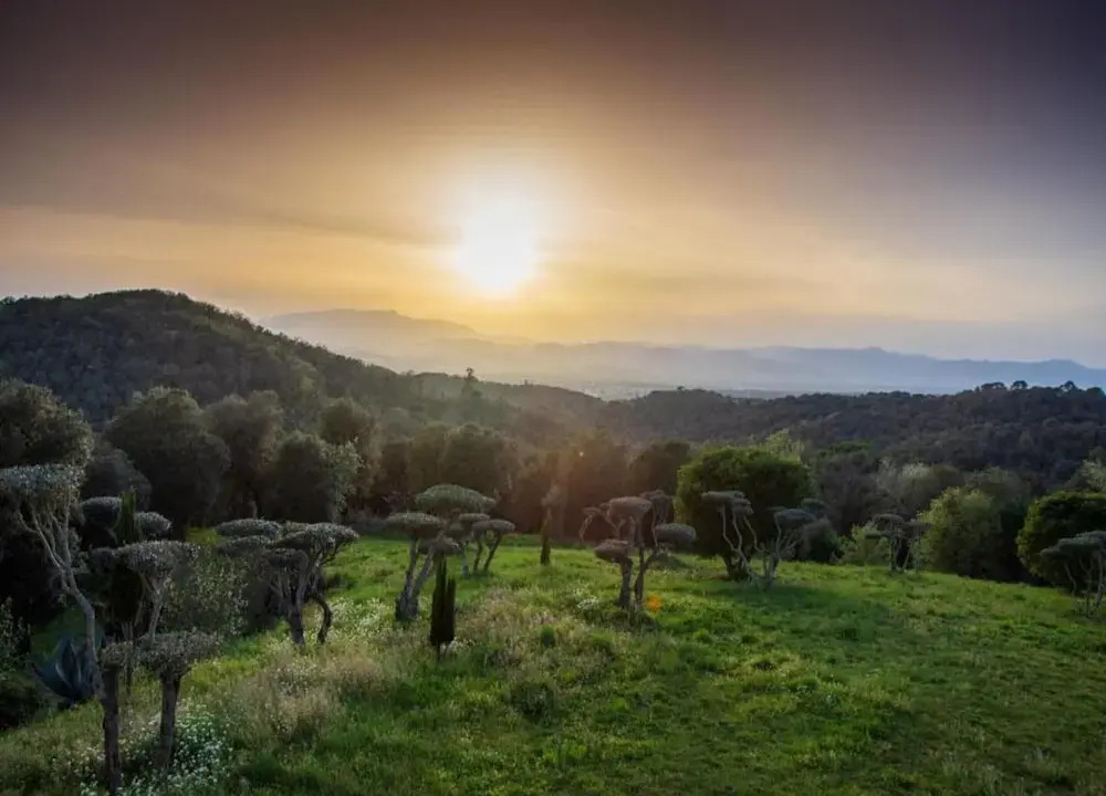 Villa in Costa Brava Near Cala Canyelles Beach