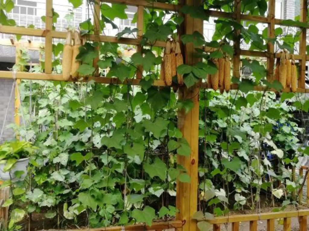 Baihewan Rural Guest House
