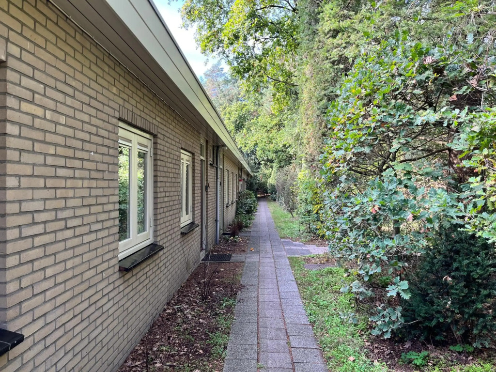 Modern natuurhuisje midden in het bos op de Veluwe