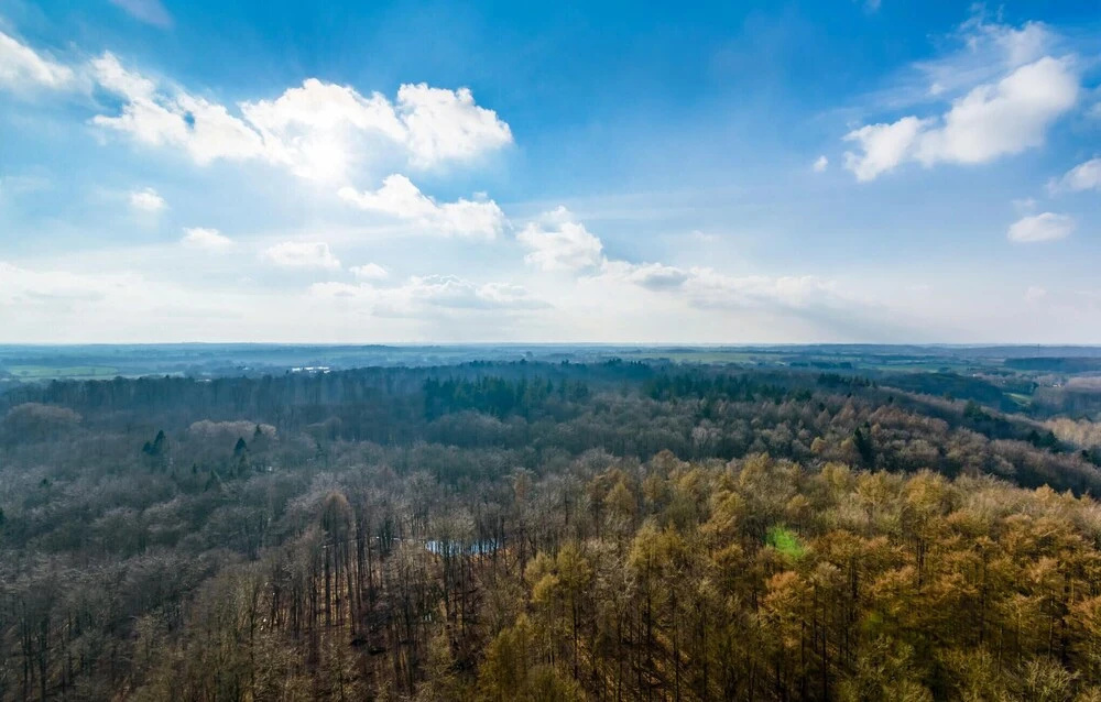 Awesome Apartment in Timmendorfer-strand With Wifi, Outdoor Swimming Pool and 1 Bedrooms