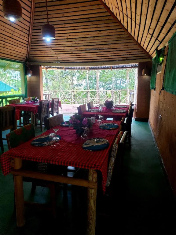 Mikumi Safari Lodge