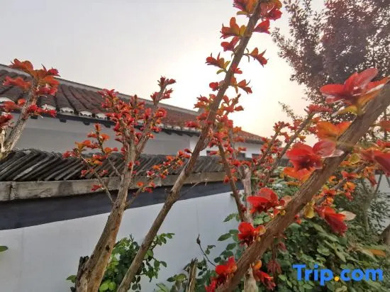 Yiyi Zhenxuan Hostel