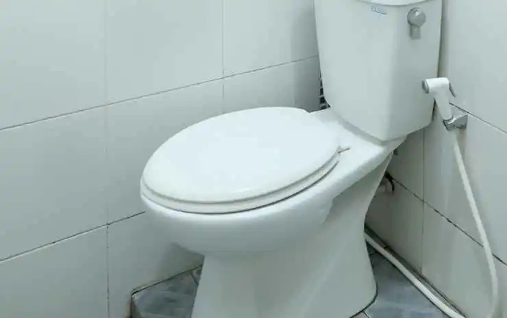 D' Paragon Bulusan