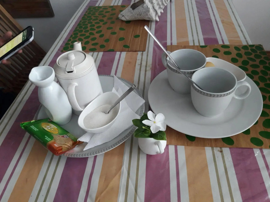 Palmitas Hostel with tropical garden & pool