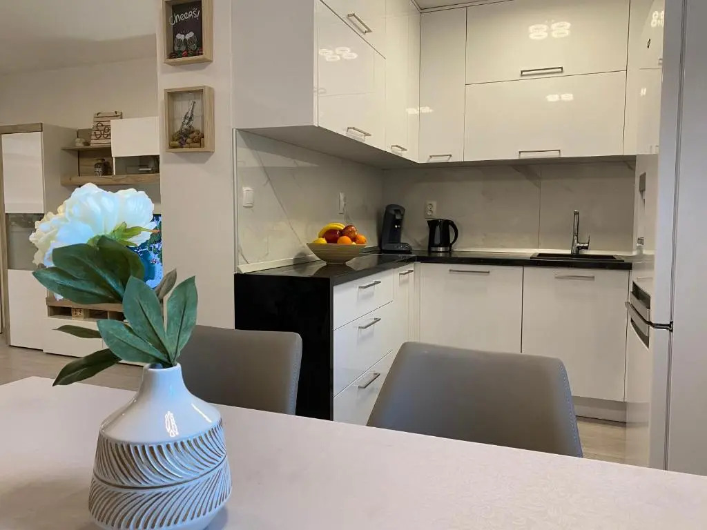 Apartment Aria - BBQ grill & garage