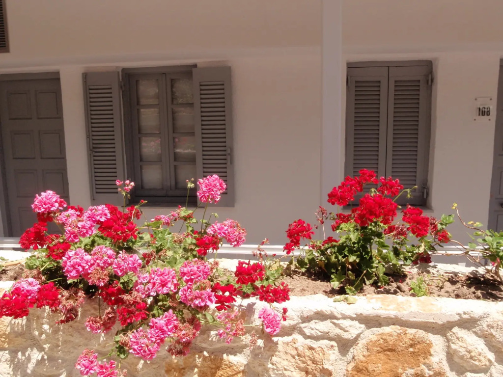 White Suites Resort- Adults Only Hotel