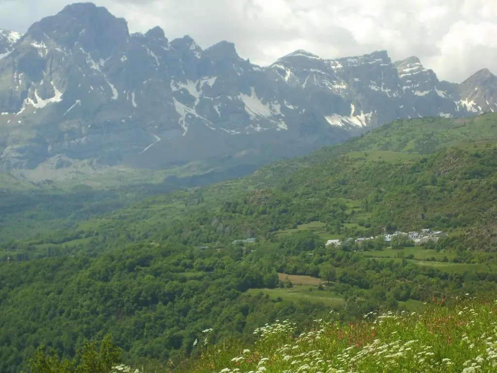 Apartamentos Fidalgo