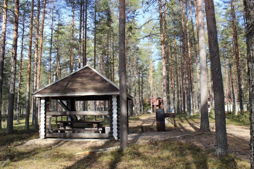 Sjamozero