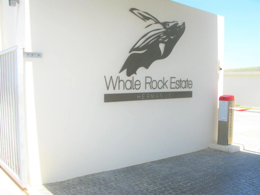 Hermanus Whale View