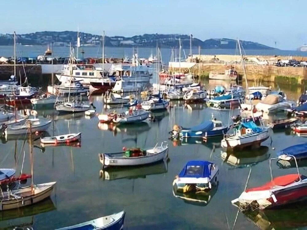 Lovely 2-bed Cottage in Paignton Near Town & Beach