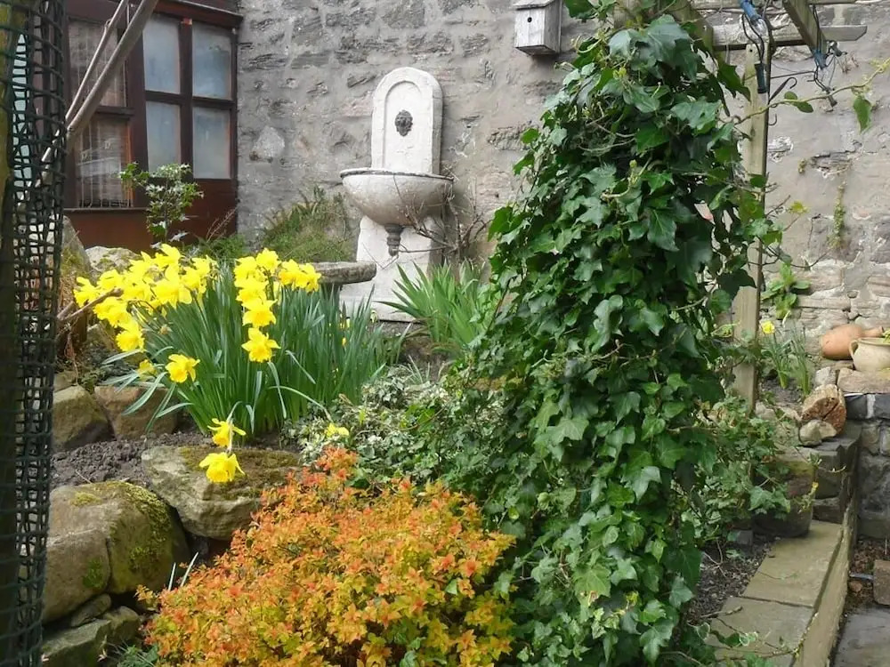 Rob Roy - Self Check-In Boutique Accommodation