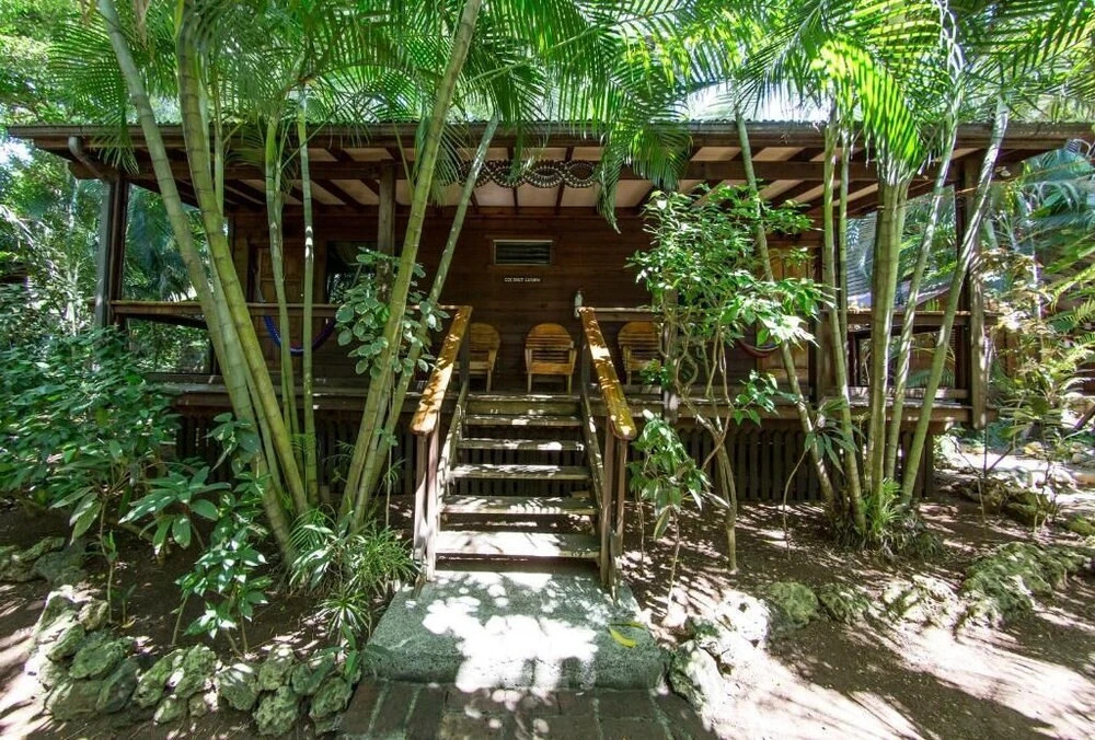 Mango Inn Resort
