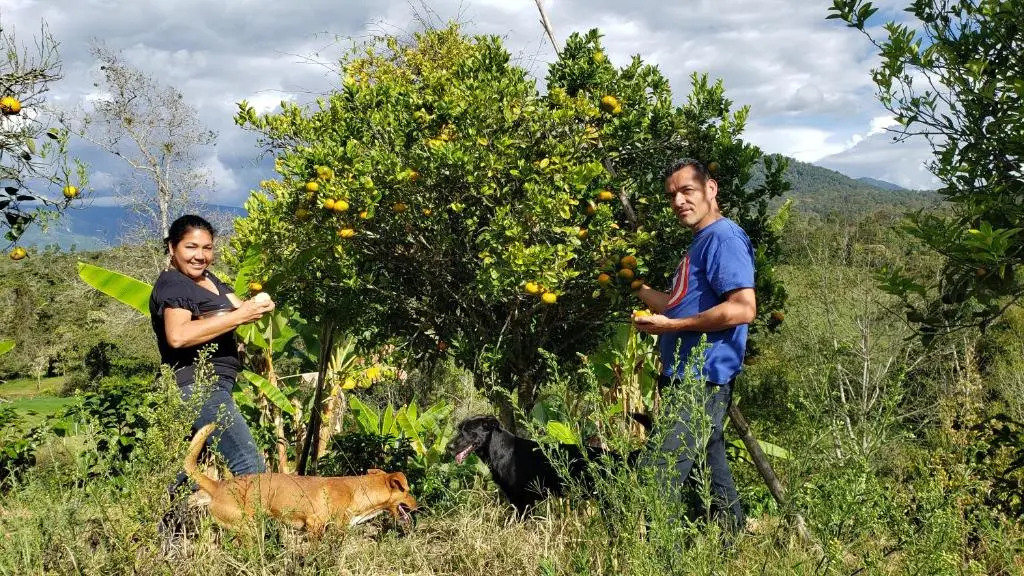El Recreo Hogar Campesino