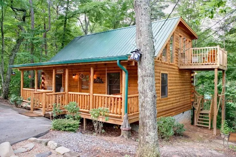 Call Of The Wild