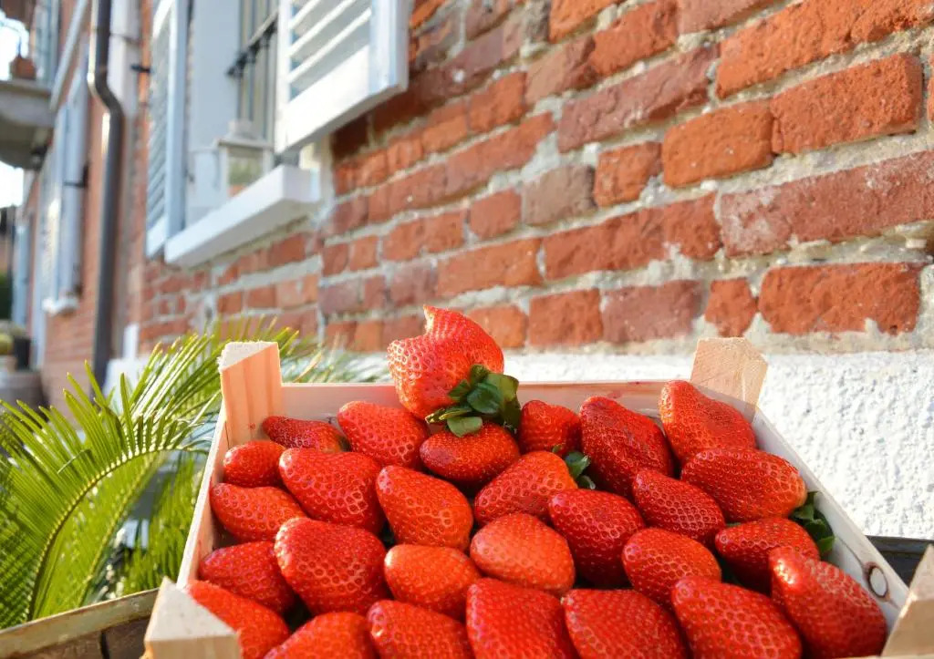 Bed & Tours Dimora di campagna