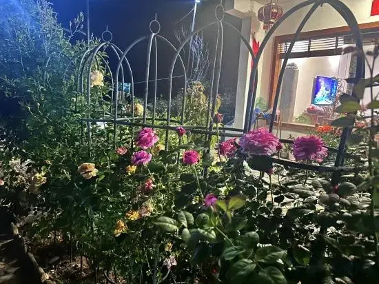 Jingning Shishangxi Homestay