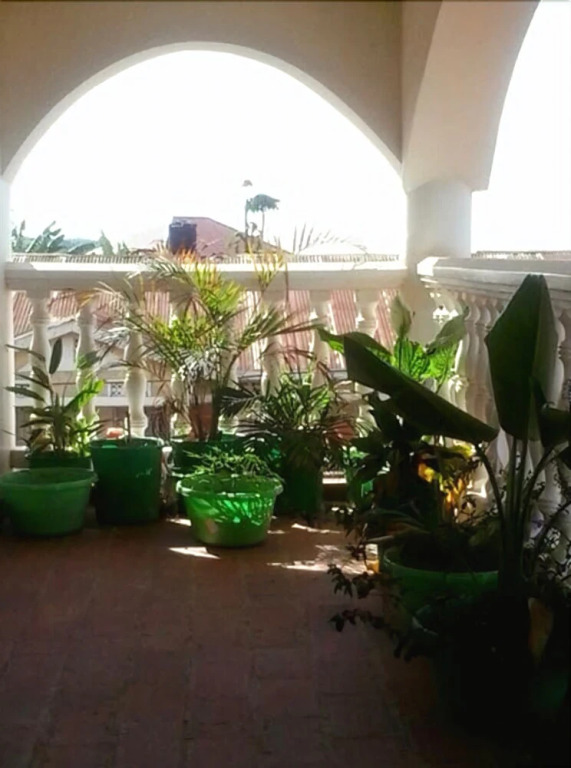 Winnie's Place