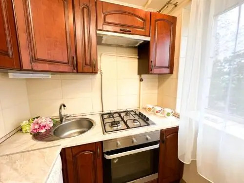 Apartments on Pechersk