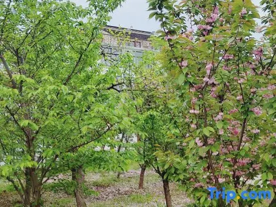 Tai Lake San Shan Island Fortune Homestay