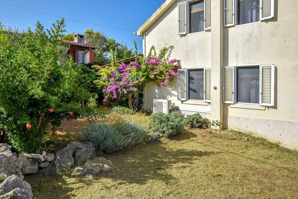 House Panula