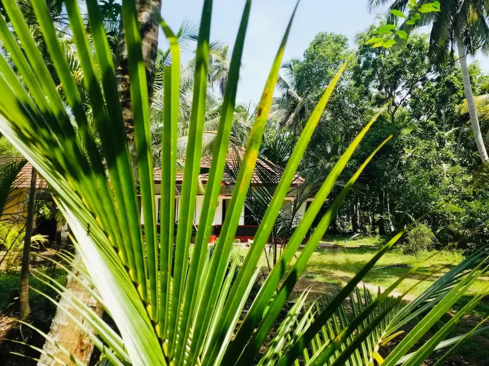 Aquabliss Resort & Villa