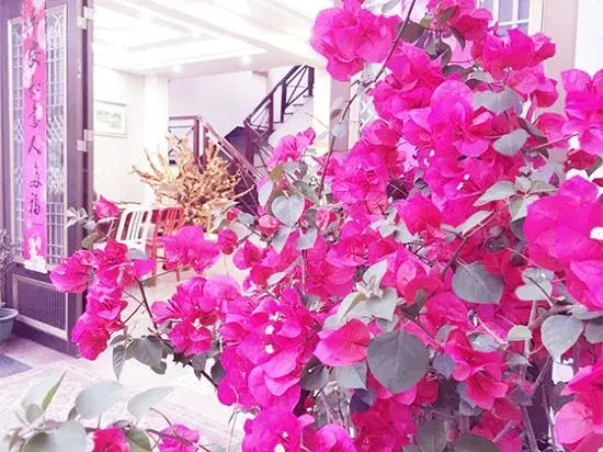 Yandang Mountain Jinlin Holiday Guesthouse