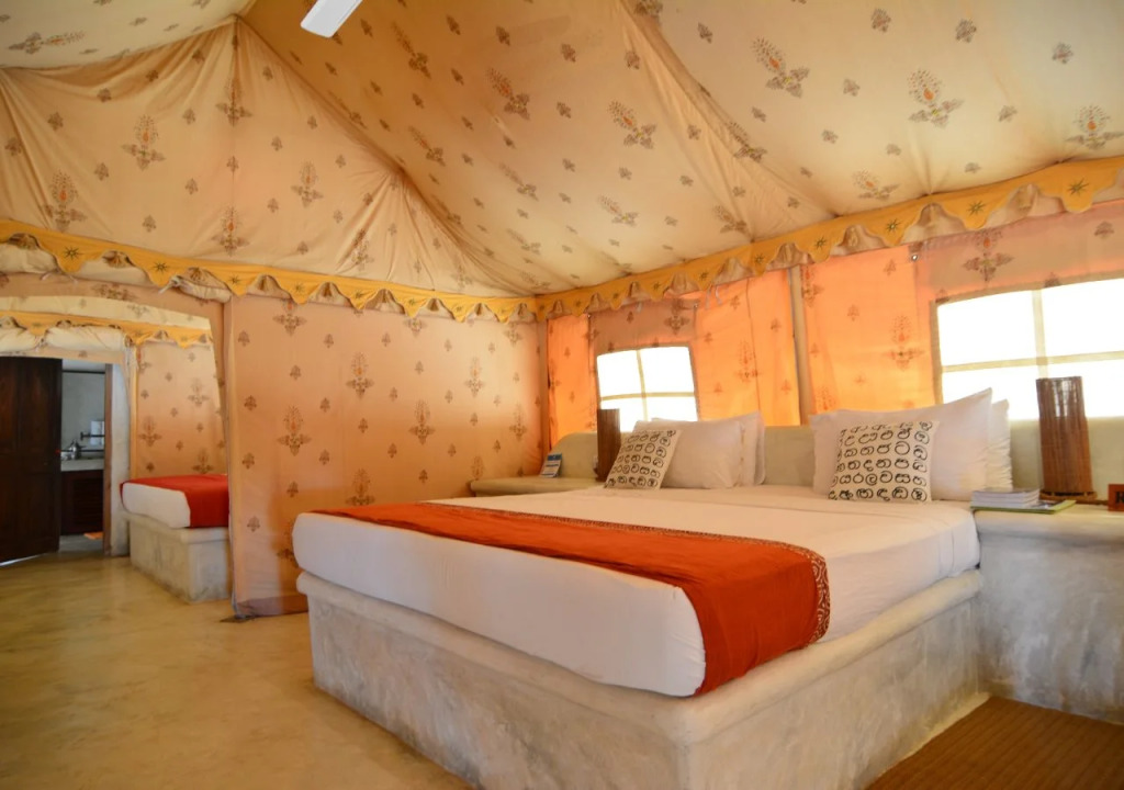 Dolphin Beach Resort - Dolphins, Kitesurfing & Wildlife