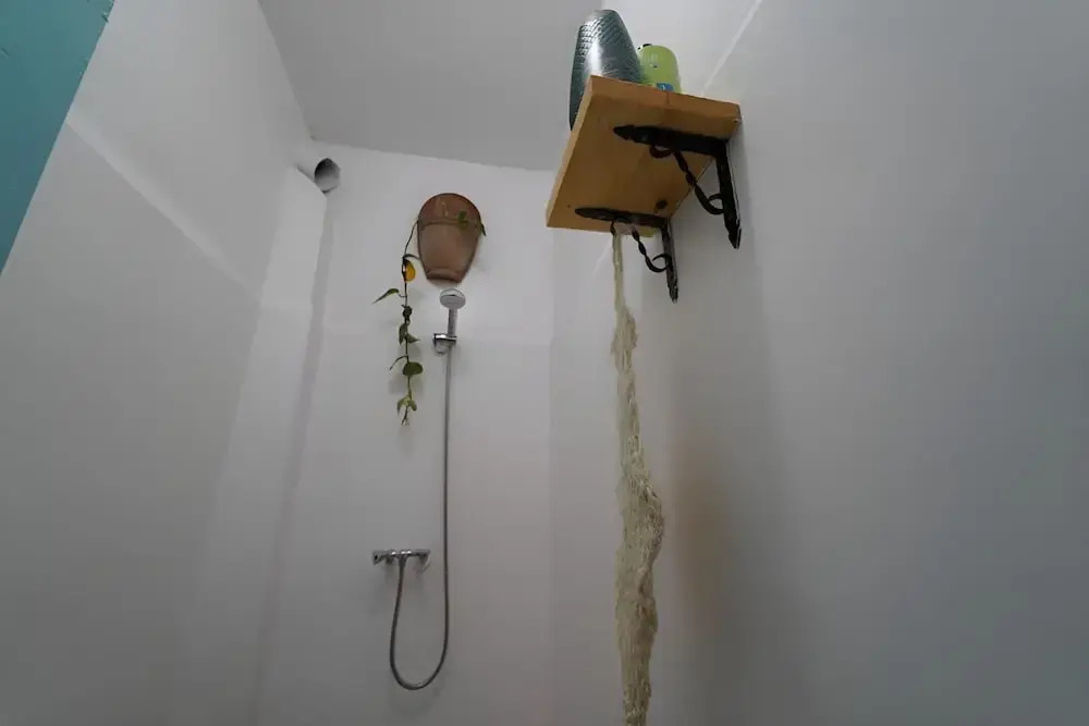 Surf sets house