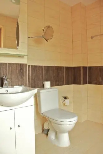 Apartamenty Pod Lwem